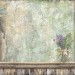 Набор бумаги односторонней для скрапбукинга Stamperia SBBXLB32 "HERBARIUM SILVAE"
